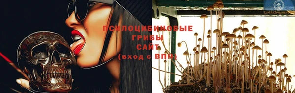 шишки Аркадак