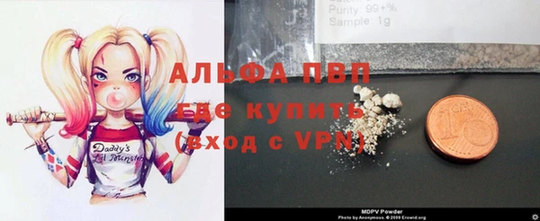 шишки Аркадак