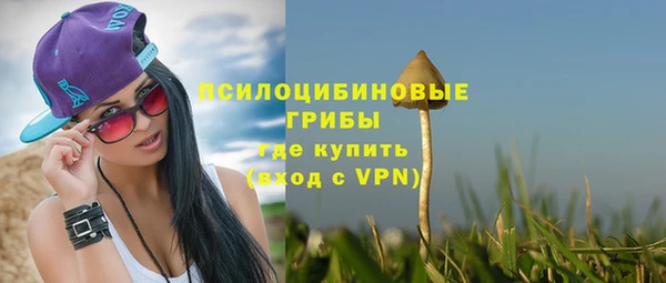 герыч Арсеньев