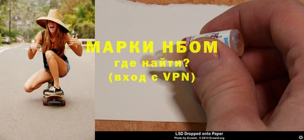 шишки Аркадак