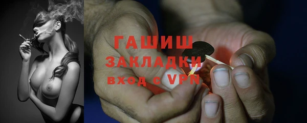 шишки Аркадак