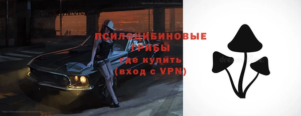 шишки Аркадак